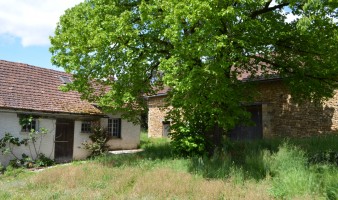 Black Perigord, 3 km from Montignac-Lascaux, farmhouse to renovate entirely comprising an old house and a large barn. Land of more than 5000 m².